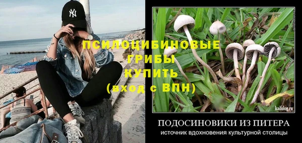 соль ск Аркадак
