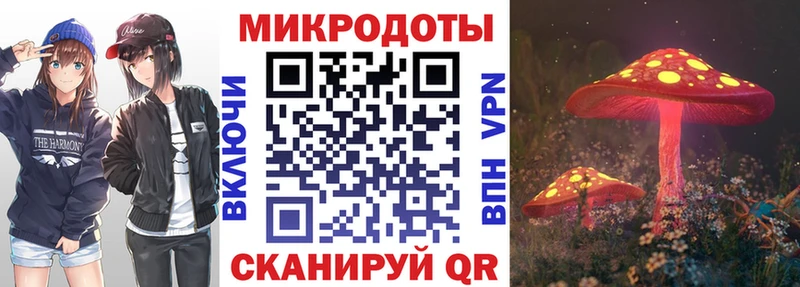 Псилоцибиновые грибы ЛСД  магазин продажи   blacksprut вход  Петропавловск-Камчатский 
